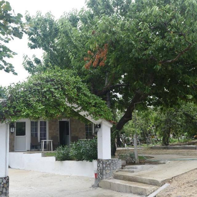 Villa Leonidas Koutsoupia Kókkinon Nerón 外观 照片